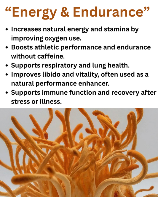 Cordyceps - "Natural energy”