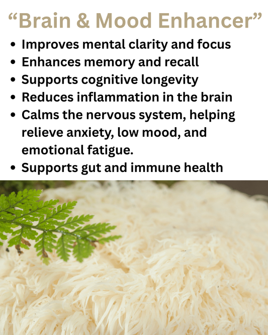 Lion's Mane - “Master Mushroom”