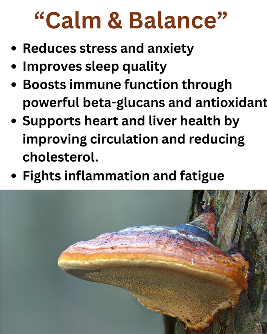 Reishi - "The Mushroom of Immortality"