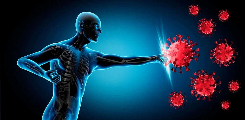 The Immune System