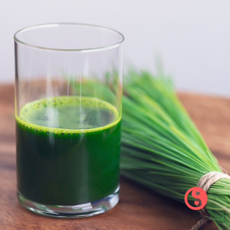 Gut Health & Digestion