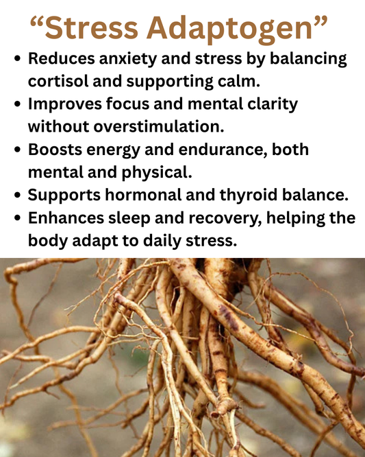 Ashwagandha - "Stress Shield"