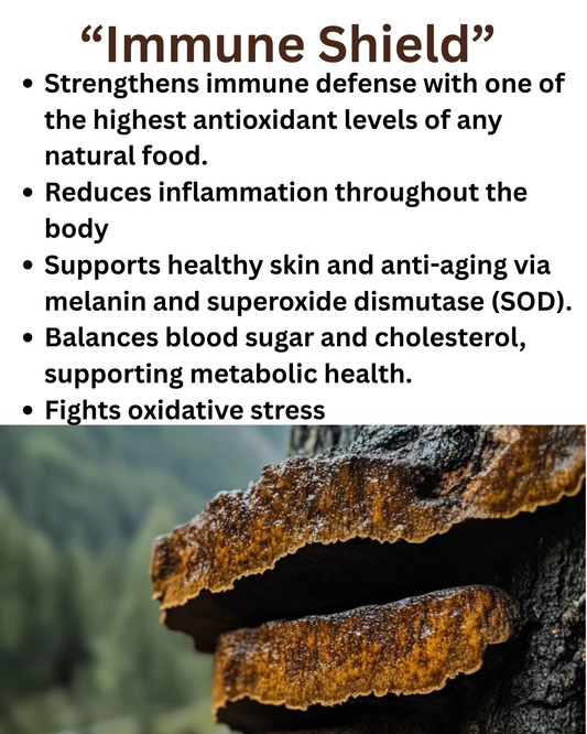 Chaga - "The King of Mushrooms"
