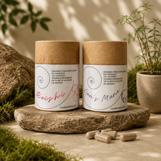 Rise & Rest | Organic Extracted Lion's Mane & Reishi Mushroom Bundle