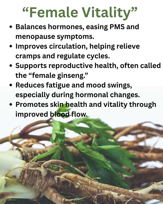 Dong Quai - "Female Ginseng"