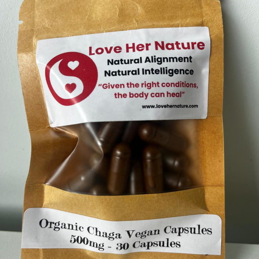 Chaga - "The King of Mushrooms"