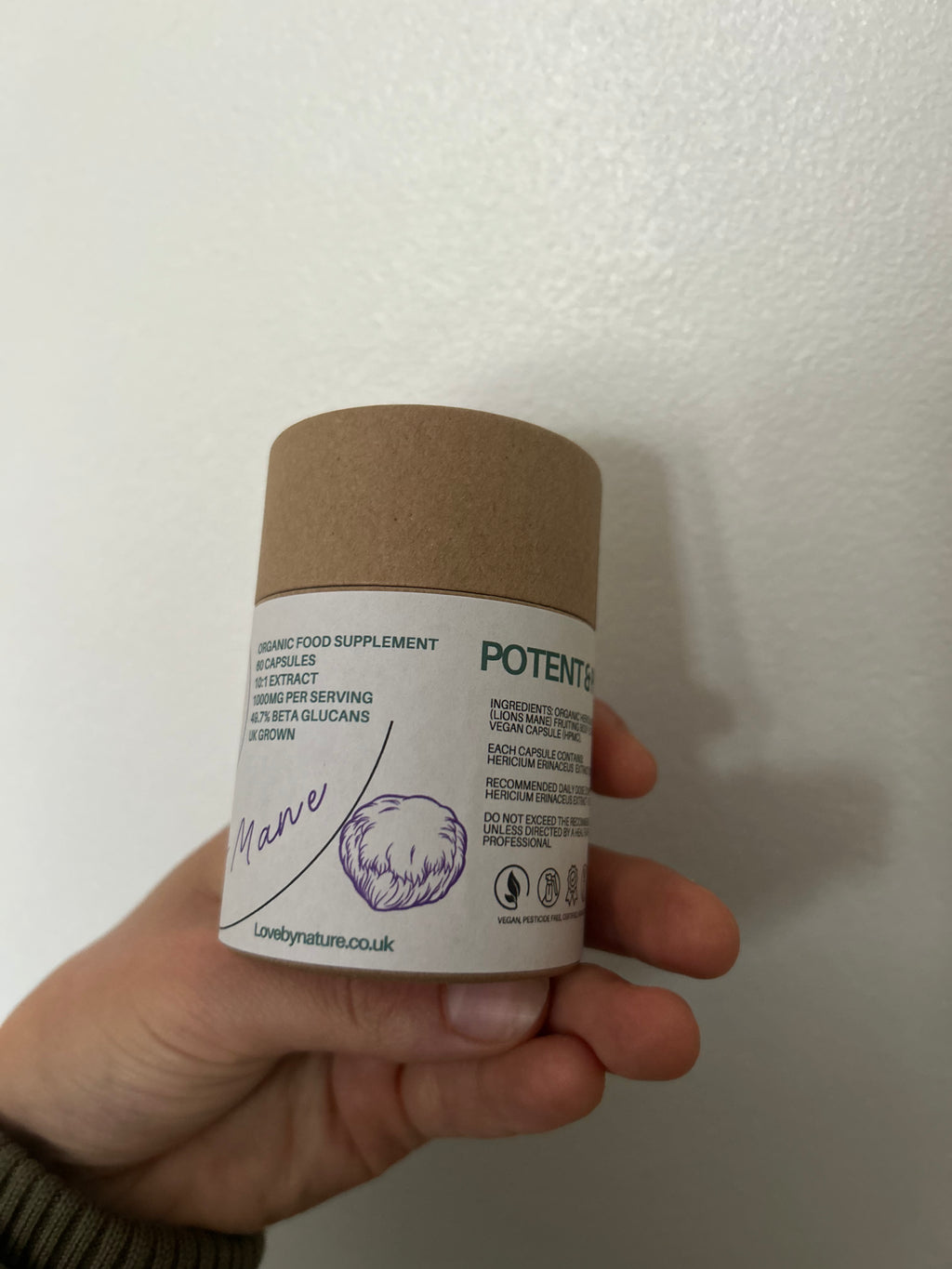 Lion’s Mane | Organic Extracted Mushroom Capsules | UK Grown