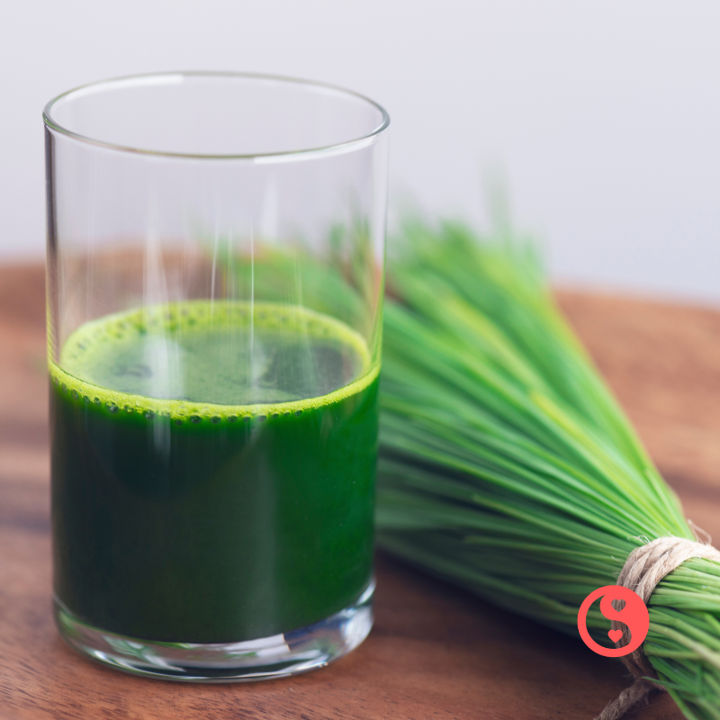 Organic Wheatgrass Powder